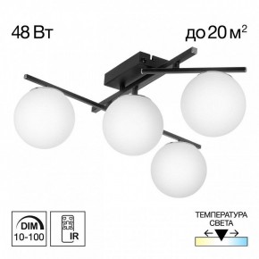 Потолочная люстра Citilux Dorsy CL223142 в Качканаре - kachkanar.ok-mebel.com | фото 9