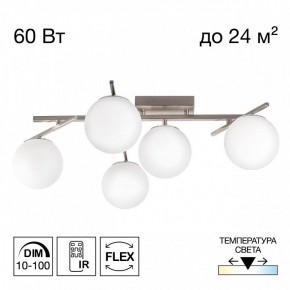 Потолочная люстра Citilux Dorsy CL223151 в Качканаре - kachkanar.ok-mebel.com | фото 2