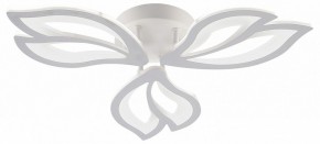 Потолочная люстра Natali Kovaltseva FORTUNA LED LAMPS 81107/2C в Качканаре - kachkanar.ok-mebel.com | фото