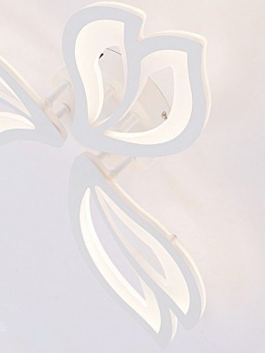 Потолочная люстра Natali Kovaltseva FORTUNA LED LAMPS 81107/2C в Качканаре - kachkanar.ok-mebel.com | фото 11
