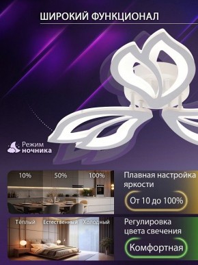 Потолочная люстра Natali Kovaltseva FORTUNA LED LAMPS 81107/2C в Качканаре - kachkanar.ok-mebel.com | фото 5