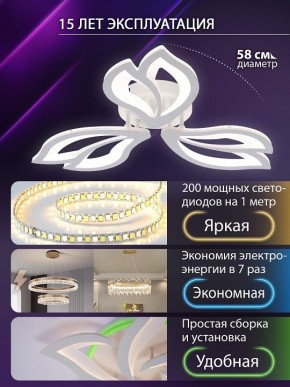Потолочная люстра Natali Kovaltseva FORTUNA LED LAMPS 81107/2C в Качканаре - kachkanar.ok-mebel.com | фото 6