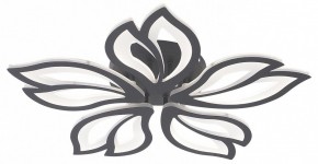Потолочная люстра Natali Kovaltseva FORTUNA LED LAMPS 81107/5C в Качканаре - kachkanar.ok-mebel.com | фото