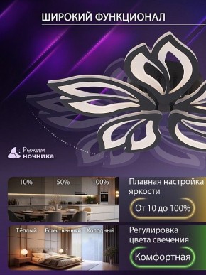 Потолочная люстра Natali Kovaltseva FORTUNA LED LAMPS 81107/5C в Качканаре - kachkanar.ok-mebel.com | фото 6