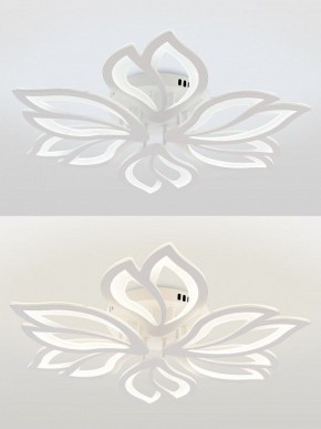 Потолочная люстра Natali Kovaltseva FORTUNA LED LAMPS 81107/6C в Качканаре - kachkanar.ok-mebel.com | фото 4
