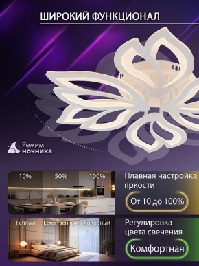 Потолочная люстра Natali Kovaltseva FORTUNA LED LAMPS 81107/6C в Качканаре - kachkanar.ok-mebel.com | фото 6