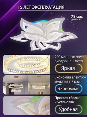 Потолочная люстра Natali Kovaltseva OLIMP LED LAMPS 81435 в Качканаре - kachkanar.ok-mebel.com | фото 5