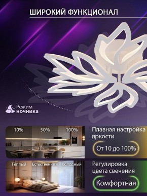 Потолочная люстра Natali Kovaltseva RIF LED LAMPS 81118/5C в Качканаре - kachkanar.ok-mebel.com | фото 6