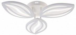 Потолочная люстра Natali Kovaltseva SM LED LAMPS 81456 в Качканаре - kachkanar.ok-mebel.com | фото