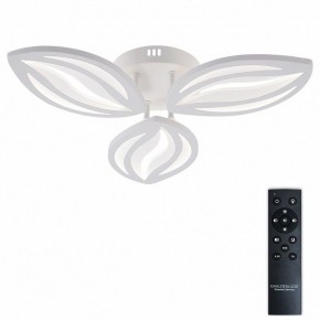 Потолочная люстра Natali Kovaltseva SM LED LAMPS 81456 в Качканаре - kachkanar.ok-mebel.com | фото 2