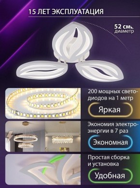 Потолочная люстра Natali Kovaltseva SM LED LAMPS 81456 в Качканаре - kachkanar.ok-mebel.com | фото 5