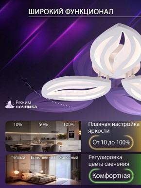 Потолочная люстра Natali Kovaltseva SM LED LAMPS 81456 в Качканаре - kachkanar.ok-mebel.com | фото 6