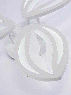 Потолочная люстра Natali Kovaltseva SM LED LAMPS 81456 в Качканаре - kachkanar.ok-mebel.com | фото 8