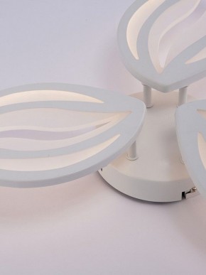 Потолочная люстра Natali Kovaltseva SM LED LAMPS 81456 в Качканаре - kachkanar.ok-mebel.com | фото 9