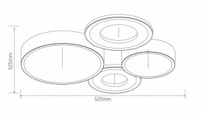 Потолочная люстра Rivoli Aliona Б0066451 в Качканаре - kachkanar.ok-mebel.com | фото 11