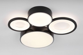 Потолочная люстра Rivoli Aliona Б0066451 в Качканаре - kachkanar.ok-mebel.com | фото 3