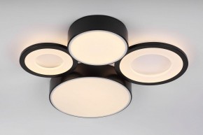 Потолочная люстра Rivoli Aliona Б0066451 в Качканаре - kachkanar.ok-mebel.com | фото 8