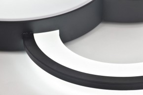 Потолочная люстра Rivoli Aliona Б0066452 в Качканаре - kachkanar.ok-mebel.com | фото 10