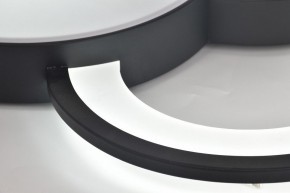 Потолочная люстра Rivoli Aliona Б0066452 в Качканаре - kachkanar.ok-mebel.com | фото 12