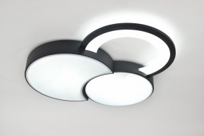 Потолочная люстра Rivoli Aliona Б0066452 в Качканаре - kachkanar.ok-mebel.com | фото 8