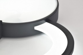 Потолочная люстра Rivoli Aliona Б0066452 в Качканаре - kachkanar.ok-mebel.com | фото 9