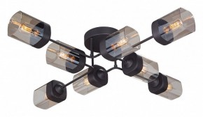 Потолочная люстра Vitaluce 4889 V4889-1/8PL в Качканаре - kachkanar.ok-mebel.com | фото
