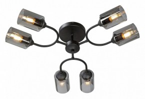 Потолочная люстра Vitaluce V2823 V2823-1/6PL в Качканаре - kachkanar.ok-mebel.com | фото 2