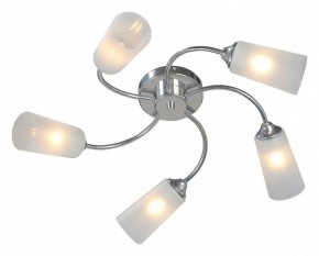 Потолочная люстра Vitaluce V2831 V2831-9/5PL в Качканаре - kachkanar.ok-mebel.com | фото 2