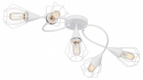 Потолочная люстра Vitaluce V3037 V3037-0/5PL в Качканаре - kachkanar.ok-mebel.com | фото