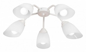 Потолочная люстра Vitaluce V31950 V31950/5PL в Качканаре - kachkanar.ok-mebel.com | фото