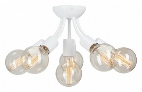 Потолочная люстра Vitaluce V3927 V3927-0/6PL в Качканаре - kachkanar.ok-mebel.com | фото