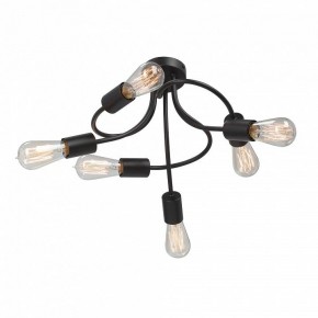 Потолочная люстра Vitaluce V3928 V3928-1/6PL в Качканаре - kachkanar.ok-mebel.com | фото 3