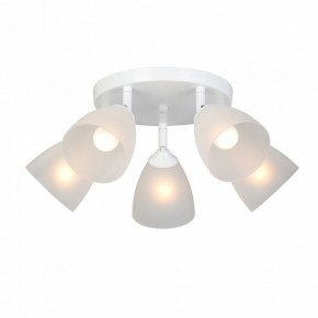 Потолочная люстра Vitaluce V4355 V4355-0/5PL в Качканаре - kachkanar.ok-mebel.com | фото 2