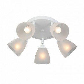 Потолочная люстра Vitaluce V4355 V4355-0/5PL в Качканаре - kachkanar.ok-mebel.com | фото 3