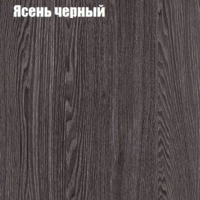 Прихожая ДИАНА-4 сек №6 (Ясень анкор/Дуб эльза) в Качканаре - kachkanar.ok-mebel.com | фото 3