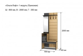 Прихожая "Ольга-Лофт 1" в Качканаре - kachkanar.ok-mebel.com | фото 4