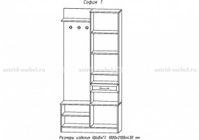 Прихожая София 1 в Качканаре - kachkanar.ok-mebel.com | фото 2