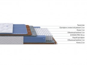 PROxSON Матрас Active Duo M/F (Ткань Трикотаж Эко) 80x195 в Качканаре - kachkanar.ok-mebel.com | фото 2