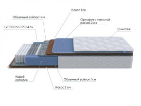 PROxSON Матрас Active Duo M/F (Ткань Трикотаж Эко) 120x190 в Качканаре - kachkanar.ok-mebel.com | фото 6