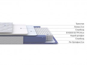 PROxSON Матрас Active Duo S/F (Ткань Трикотаж Эко) 120x200 в Качканаре - kachkanar.ok-mebel.com | фото 2