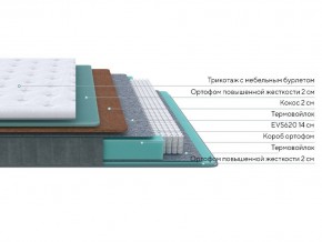 PROxSON Матрас Grace Firm (Трикотаж Prestige Latte) 80x220 в Качканаре - kachkanar.ok-mebel.com | фото 2