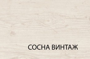 Шкаф 2D1S, MAGELLAN, цвет Сосна винтаж в Качканаре - kachkanar.ok-mebel.com | фото 3