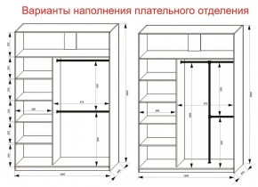 Шкаф-купе 1600 серии SOFT D6+D6+B2+PL3 (2 ящика+2штанги) профиль «Капучино» в Качканаре - kachkanar.ok-mebel.com | фото 7