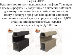 Шкаф-купе 1800 серии SOFT D1+D3+B2+PL1 (2 ящика+1штанга) профиль «Графит» в Качканаре - kachkanar.ok-mebel.com | фото 11