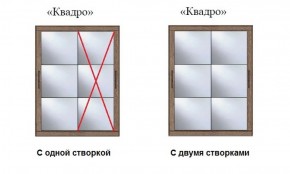 Шкаф-купе №19 Серия 3 Квадро (2000) Ясень Анкор светлый в Качканаре - kachkanar.ok-mebel.com | фото 3