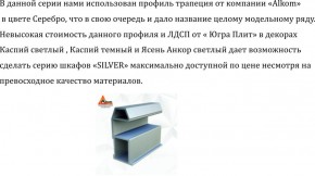 Шкаф-купе 2250 серии SILVER S3+S1+S3Z B22+PL2 (по 2 ящика лев/прав+1штанга+1 полка) профиль «Серебро» в Качканаре - kachkanar.ok-mebel.com | фото 4