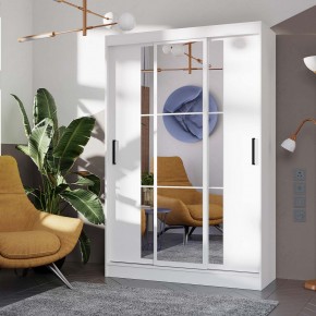 Шкаф-купе Тайм ШКК-03 (белый) в Качканаре - kachkanar.ok-mebel.com | фото