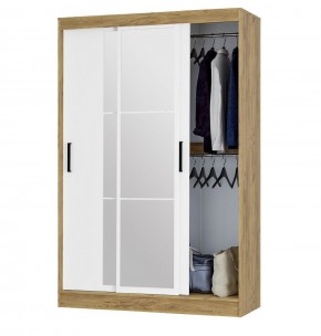 Шкаф-купе Тайм ШКК-03 (крафт/белый) в Качканаре - kachkanar.ok-mebel.com | фото 2