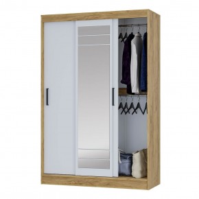 Шкаф-купе Тео ШКК-02 (крафт/белый) в Качканаре - kachkanar.ok-mebel.com | фото 3