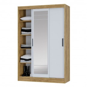 Шкаф-купе Тео ШКК-02 (крафт/белый) в Качканаре - kachkanar.ok-mebel.com | фото 4